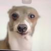 Profile Picture of Adam Hater (@lalabopppp13) on Tiktok