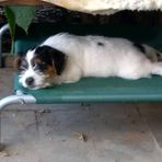 Profile Picture of Jodi Gray Zilelinski (@Jodi-Gray-Zilelinski) on Facebook