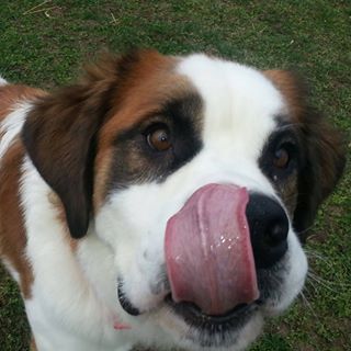 Profile Picture of Terry Brack (@Terry-Brack) on Facebook