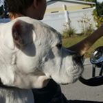 Profile Picture of Lambo (@chris.lambeth) on Instagram