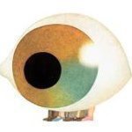 Profile Picture of Robbert-Dennis Rheault (@bauhugues) on Instagram
