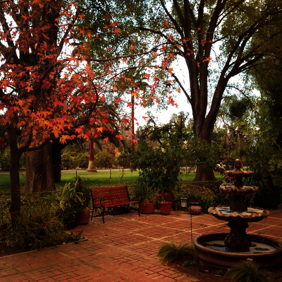 Profile Picture of Lisa Walcker (@collinlauren) on Poshmark