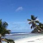 Profile Picture of Patrick Hoareau (@hoareaupatrick) on Instagram