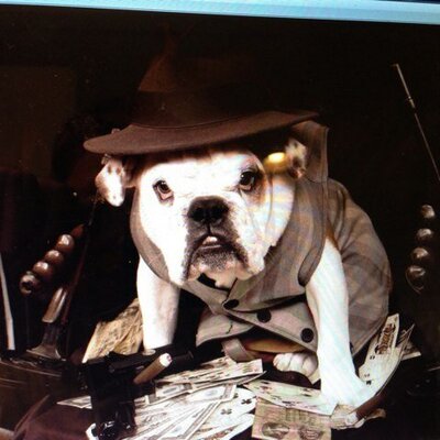 Profile Picture of Frank DeCaro (@DeCaroFrank) on Twitter