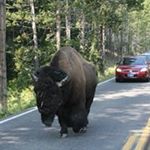 Profile Picture of Mvhammy (@randyhammett) on Instagram