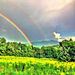 Profile Picture of Allison Berkeley (@aberkeley0315) on Pinterest