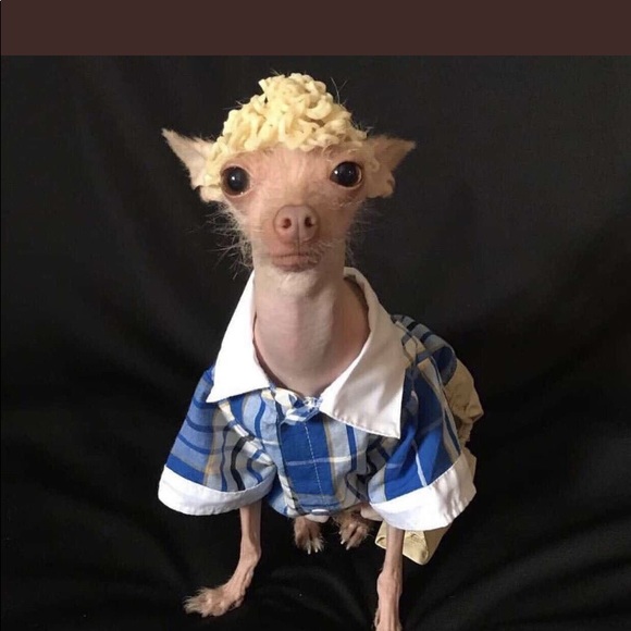 Profile Picture of Trinity Jenkins (@trinityjenkinss) on Poshmark