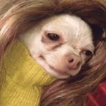 Profile Picture of Danielle Lindsey (@dlindseyy) on Instagram