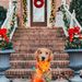 Profile Picture of Byron Tola Cisneros (@btolacisneros) on Pinterest