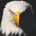 Profile Picture of Neider Steven (@neider.steven.7) on Facebook