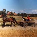 Profile Picture of Thomas Westerlund (@thomas.westerlund.372) on Instagram