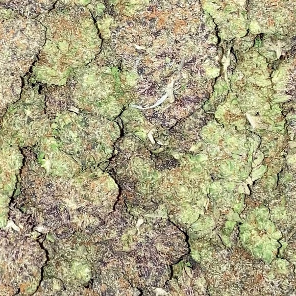 Profile Picture of Lupe Luna (@6fiveoh) on Poshmark