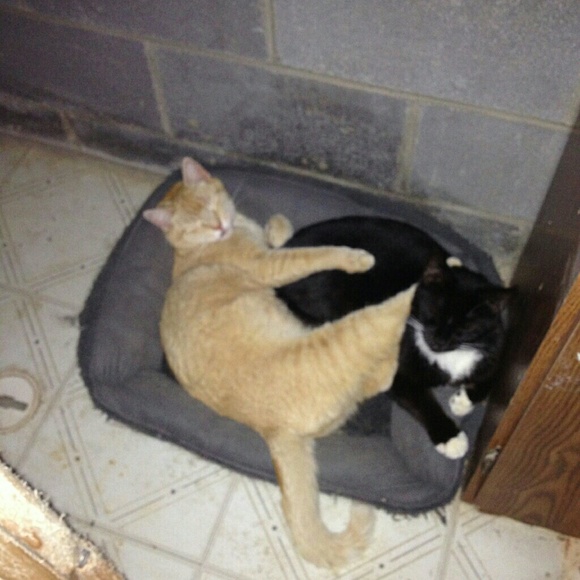 Denise Eavers - Poshmark Profile Picture of Denise Eavers (@dreavers) on Poshmark