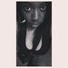 Profile Picture of Rosanne James (@lady_chubs) on Pinterest