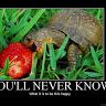 Profile Picture of Andrew Kinard (@kinardalp) on Pinterest