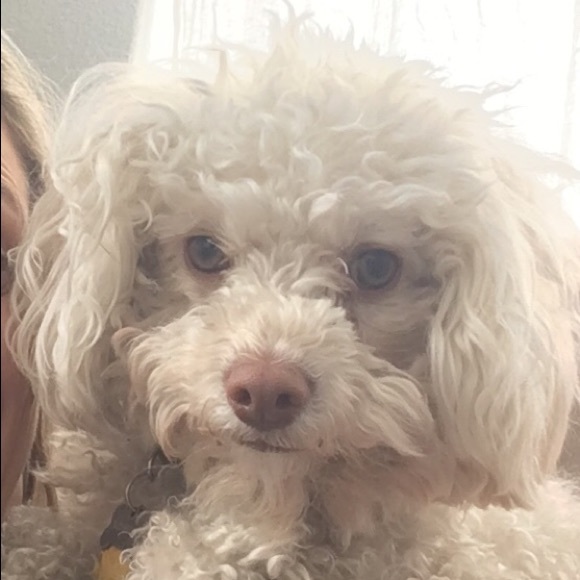 Maria Bortot - Poshmark Profile Picture of Maria Bortot (@mbor15) on Poshmark