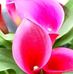 Profile Picture of Hatim Taha (@hatim.taha.9210) on Facebook