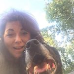 Profile Picture of Jill Mazzarisi Nicol (@jhnicol1) on Instagram