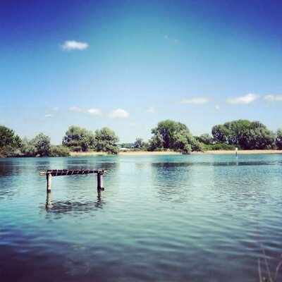 Profile Picture of Thomas Fritz Jung (@TomFritzJung) on Twitter