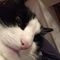 Profile Picture of David Hedén (@david.heden.54) on Facebook