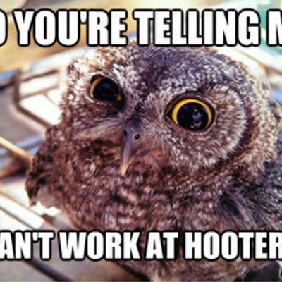 Profile Picture of AaronDigiacomo (@ShadeyBottle) on Twitter