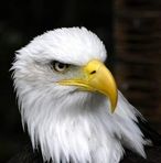 Profile Picture of Frank Omick (@frank.omick.56) on Facebook