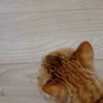 Profile Picture of sry (@sean.pickard) on Instagram