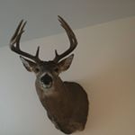 Profile Picture of Marcus Borgen (@marcus.borgen) on Instagram