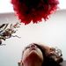 Profile Picture of Christiane Leach (@christiane3d) on Pinterest