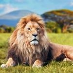 Profile Picture of Jairo. tabares (@jairo.tabares) on Instagram