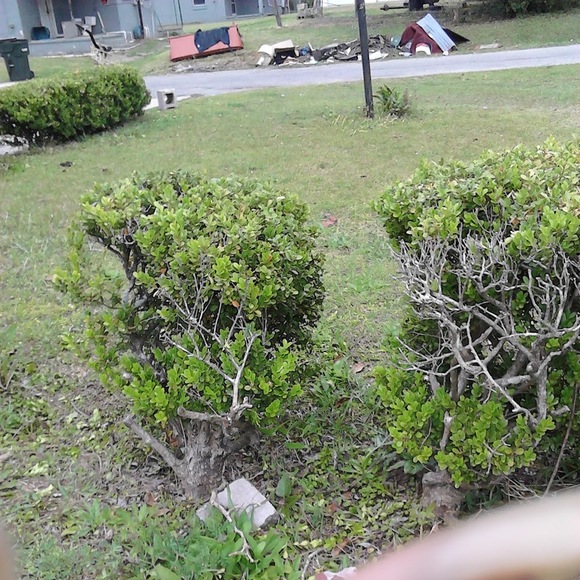 Profile Picture of Ariel Cobb (@arielcobb91) on Poshmark