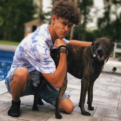 Profile Picture of Brian Panebianco (@BrianPanebianco) on Twitter