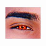 Profile Picture of 𝗠𝗼𝗵𝗮𝗺𝗺𝗲𝗱 𝗡𝗮𝗱𝗲𝗲𝗺 𝗞𝗮𝗿𝗶𝗲𝗺🌻 (@the_standard_blueprint) on Instagram