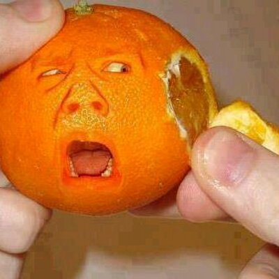 Profile Picture of Joshua Bunny John (@joshua_bunny) on Twitter