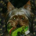 Profile Picture of Kimberley Knippel (@kimberleyknippel) on Instagram