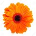 Profile Picture of Hester Grantham (@hggrantham) on Pinterest