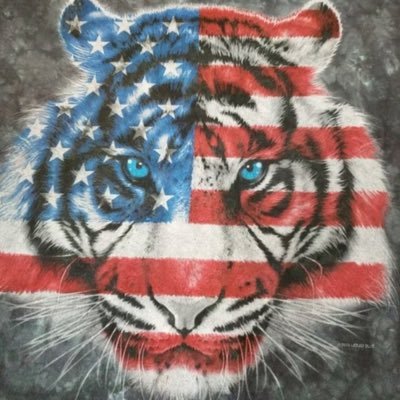 Profile Picture of Cheyenne Franklin (@Cheyenn11195682) on Twitter
