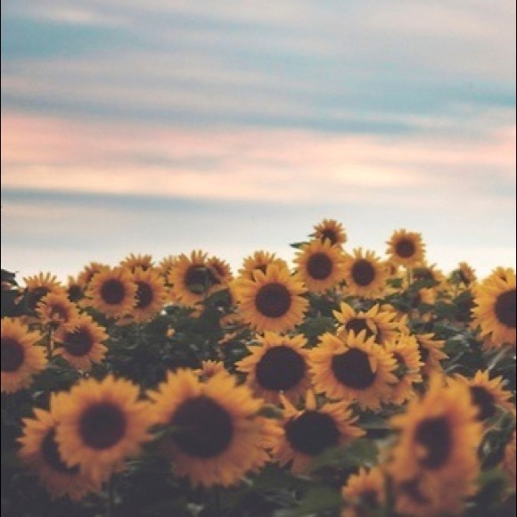 Profile Picture of Delayne Ochoa (@delayneochoa16) on Poshmark