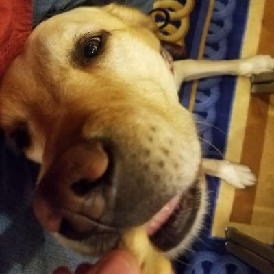 Profile Picture of Jeffrey L. Mueller (@chiefmue) on Twitter