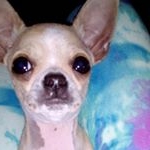 Profile Picture of 1 follower (@aviles.ivaniareyes) on Instagram