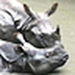 Profile Picture of Babu Ram Lamichhane (@@babug) on Flickr