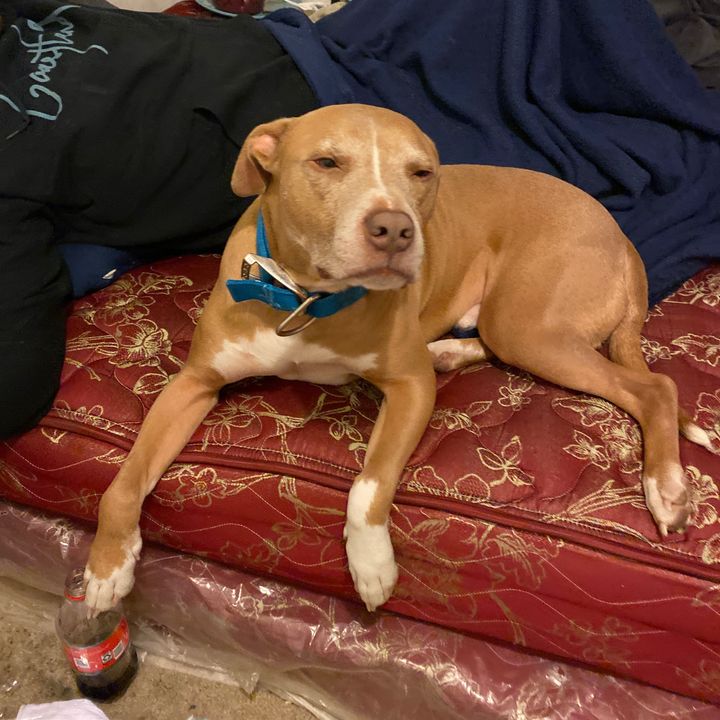 Profile Picture of jonathansweet (@jonathansweet07211990) on Tiktok