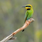 Profile Picture of Jason Kohlman (@limbsofosiris) on Instagram