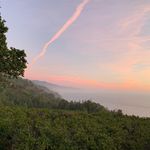 Profile Picture of Evan Nuckles (@enuckles10) on Instagram