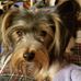 Profile Picture of Connie Stringer (@connie.stringer.39) on Facebook