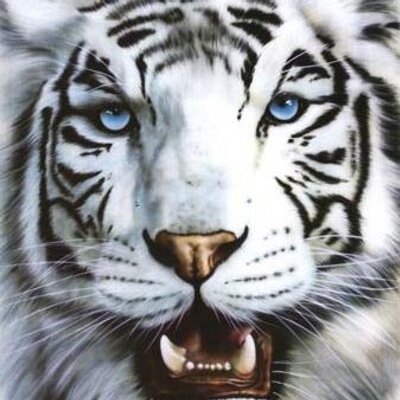 Profile Picture of James Borges De Oliv (@jamesborges12) on Twitter
