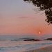 Profile Picture of Nuwandhi Mohottalage (@nuwandhi1207) on Pinterest