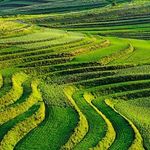 Profile Picture of Adelina Inker (@adelina.13inker_79) on Instagram