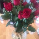 Profile Picture of Phyllis Hamilton (@phyllis.hamilton.370) on Instagram