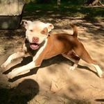 Profile Picture of cade howard (@howard.cade) on Instagram